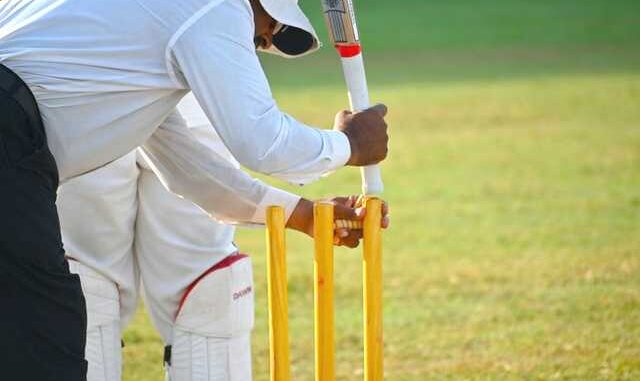 cricket betting cricket betting