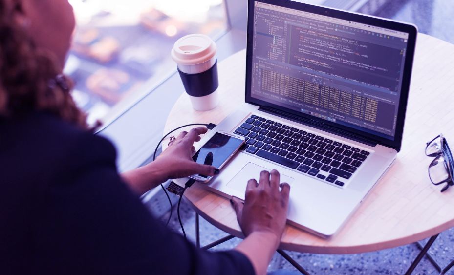 web developer