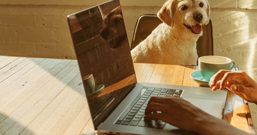 Online Betting