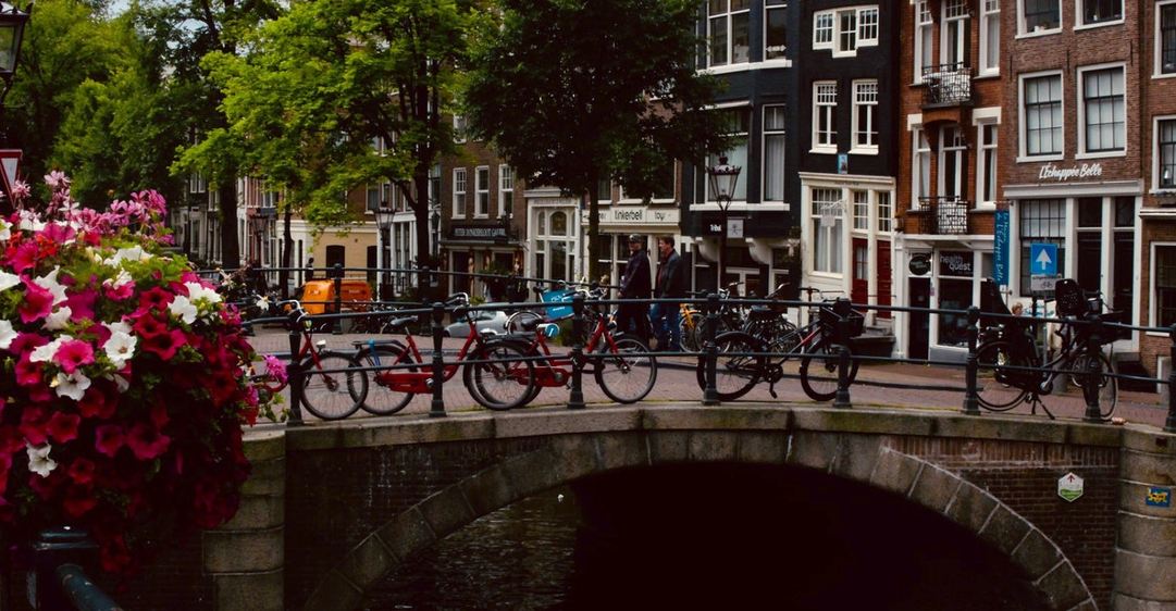 universities in Netherlands
